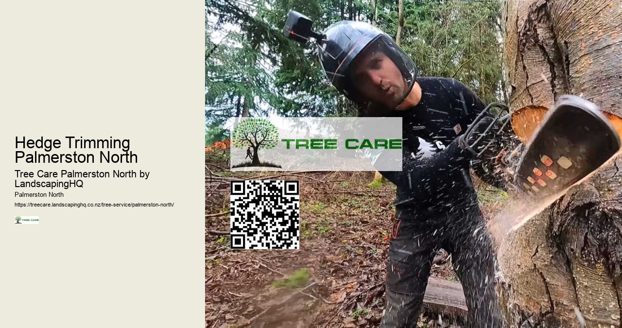 Professional Tree Trimming Palmerston North