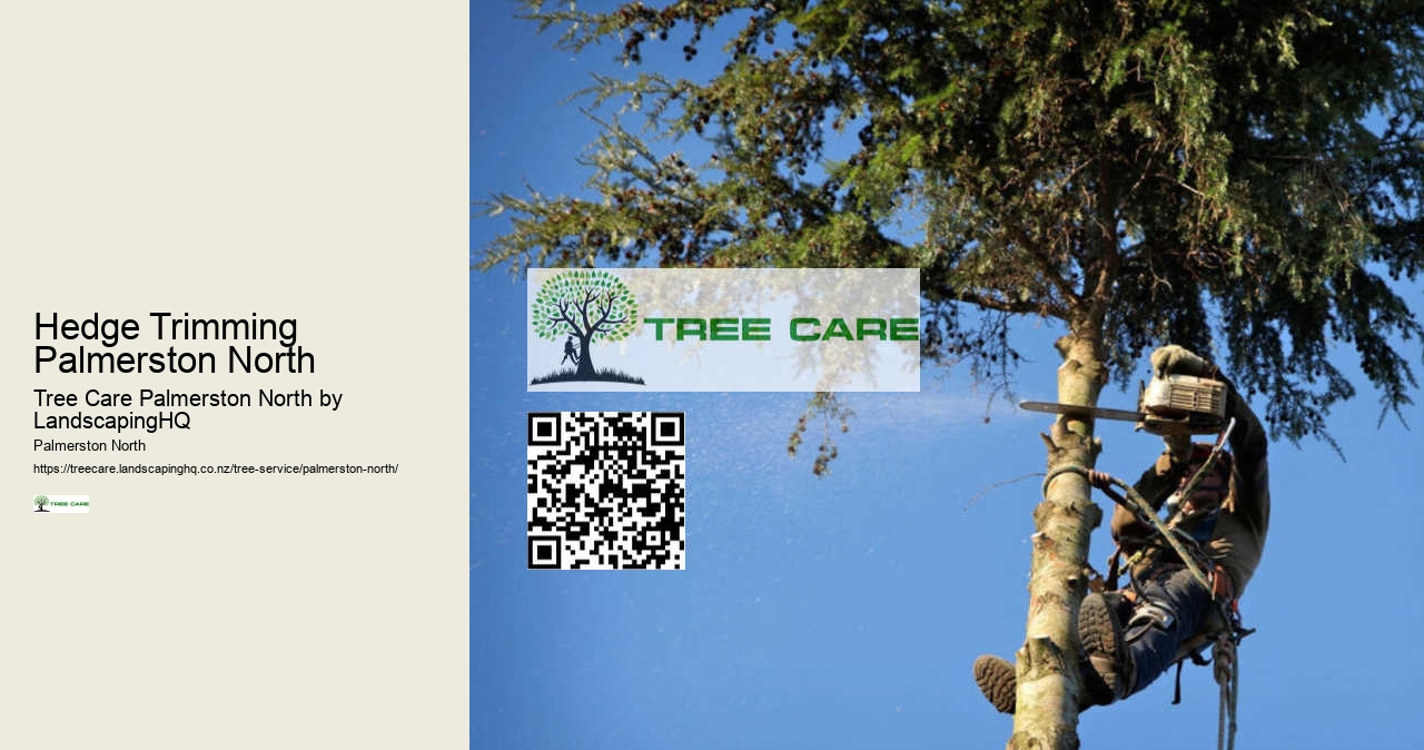 Local Tree Trimming Palmerston North