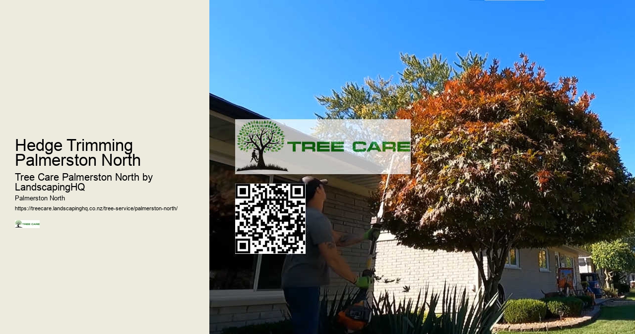 Residential Arborist Palmerston North