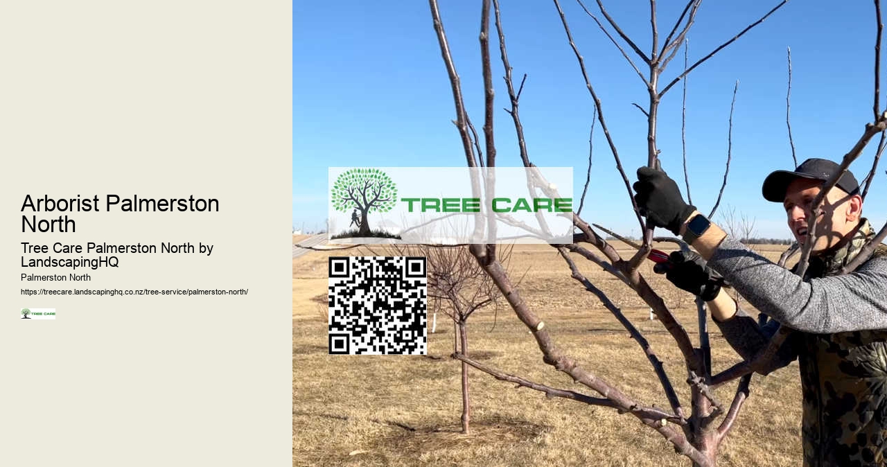 Tree Felling Palmerston North