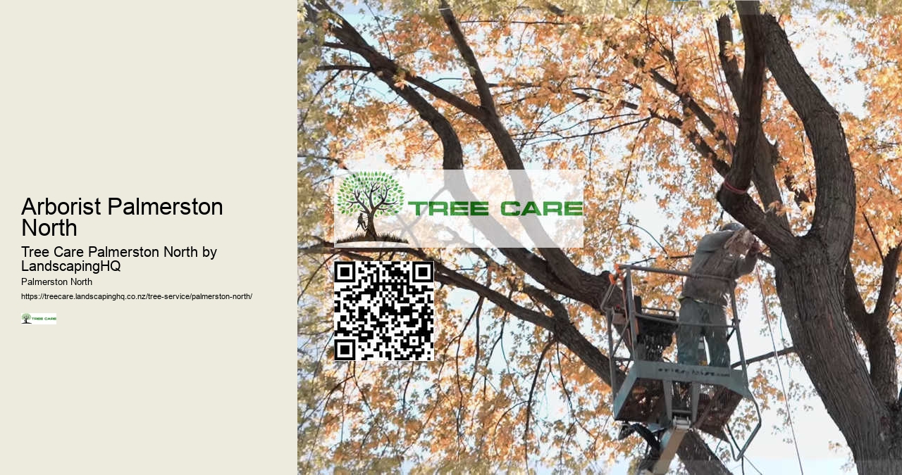 Residential and Commercial Tree Services Palmerston North