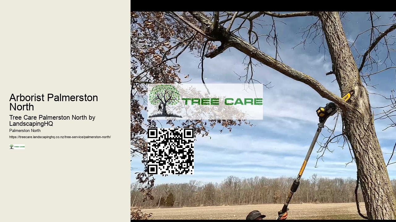 Local Tree Care Specialists Palmerston North