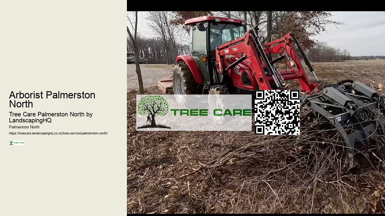 Arborist Palmerston North