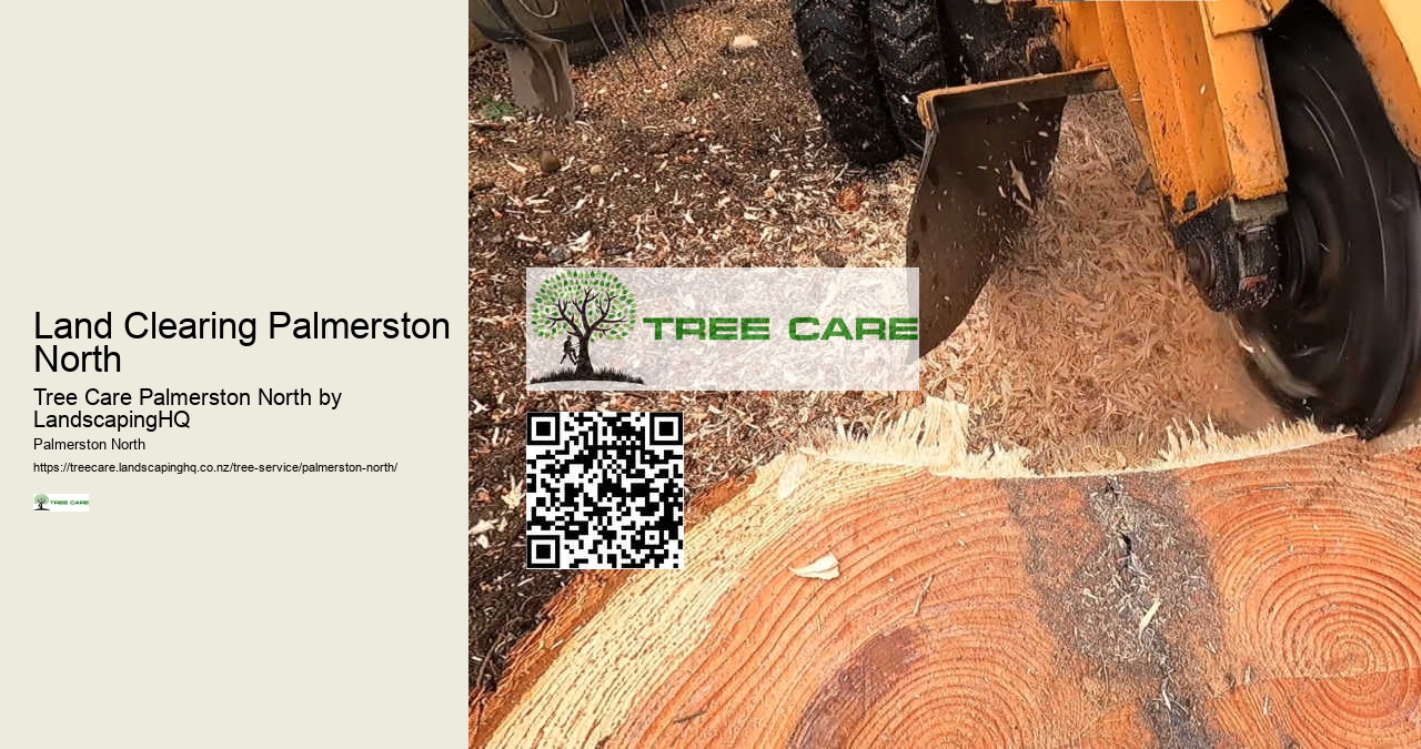 Tree Removal Experts Palmerston North