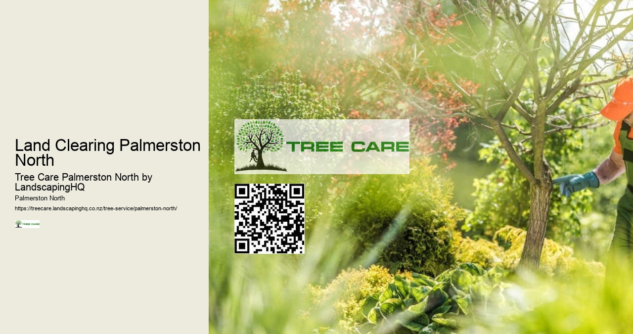 Affordable Tree Services Palmerston North