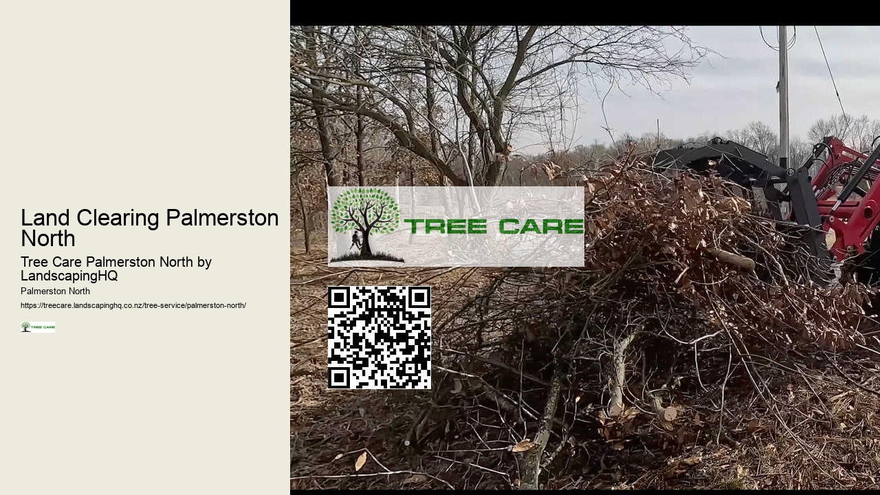 Affordable Tree Cutting Experts Palmerston North