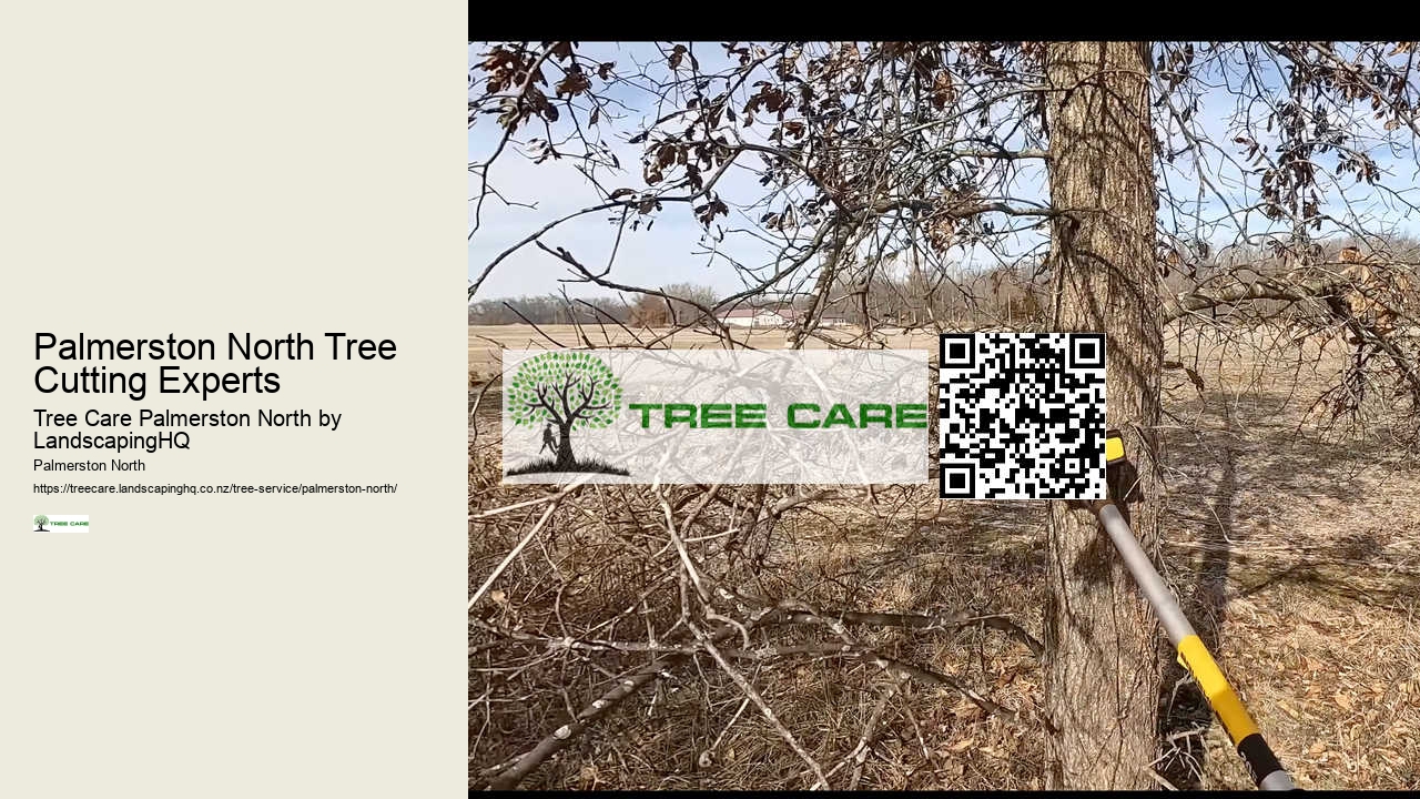 Palmerston North Tree Cutting Experts