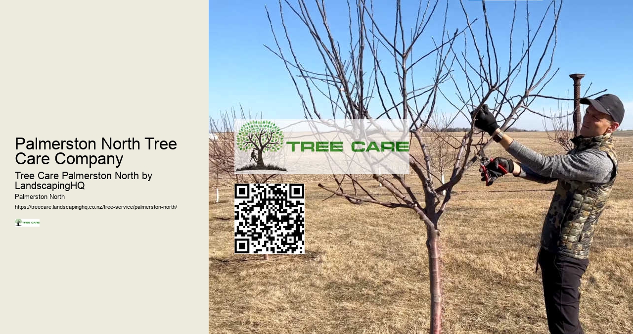 Expert Tree Pruning Palmerston North