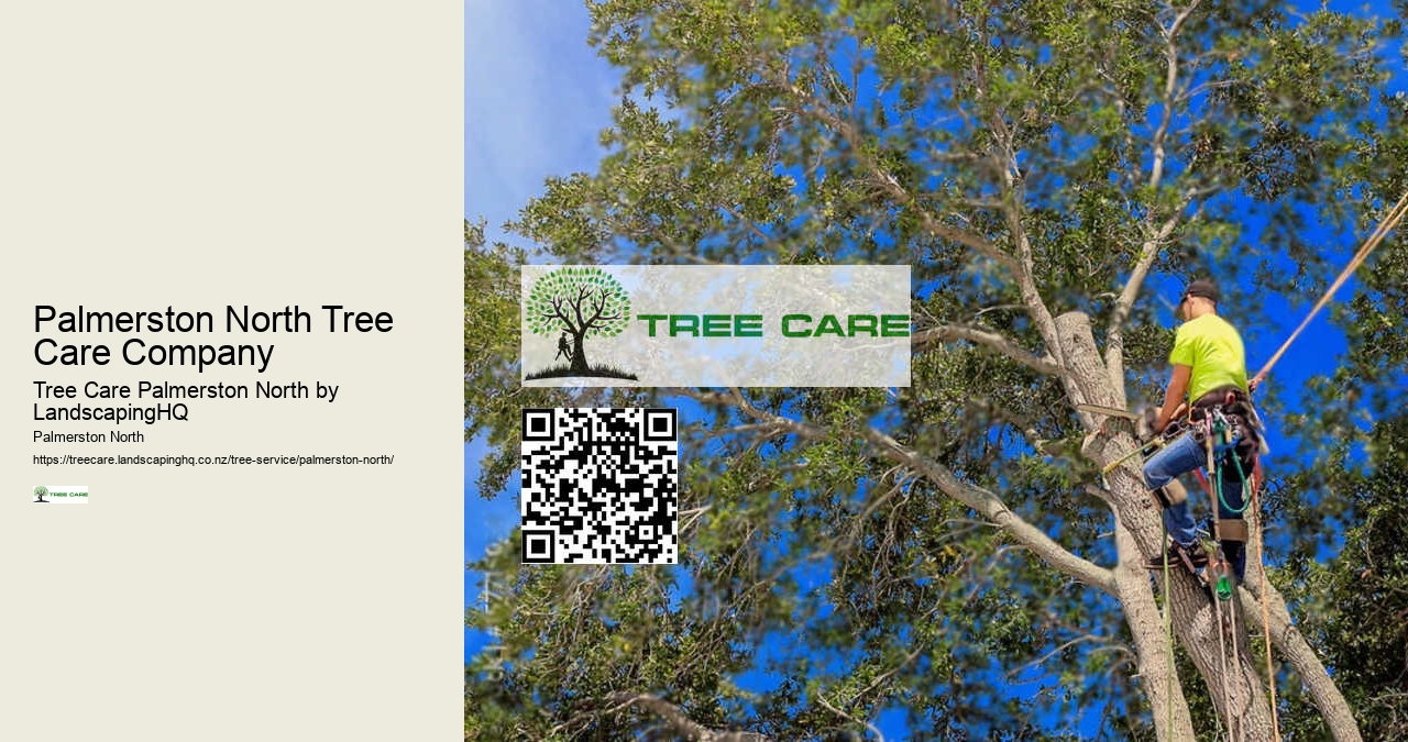 Local Emergency Tree Services Palmerston North
