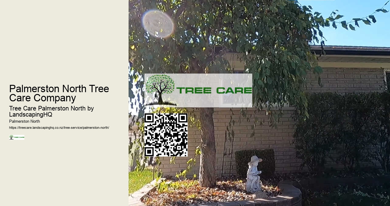 Local Tree Cutting Specialists Palmerston North