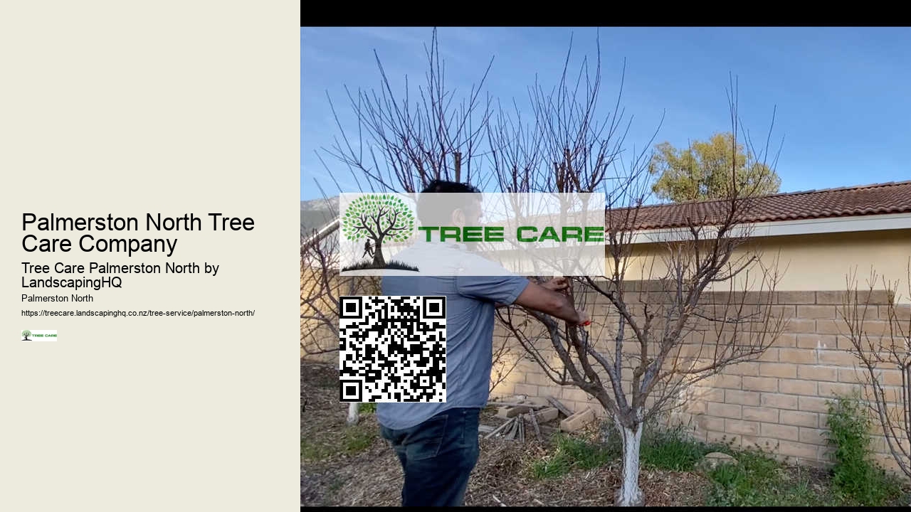 Arborist Assessment Palmerston North