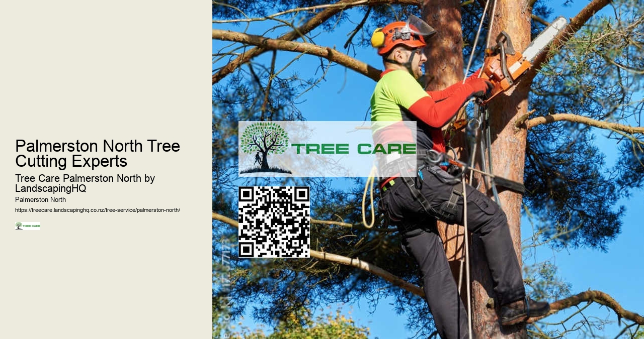 Emergency Tree Removal Palmerston North
