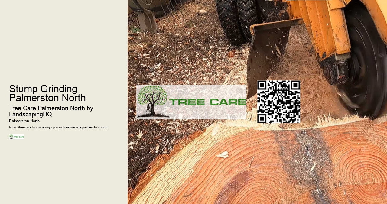 Stump Grinding Palmerston North