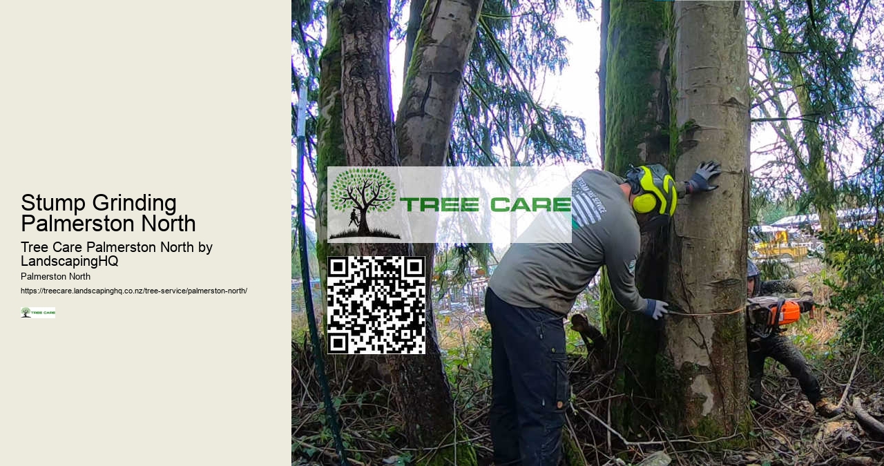 Expert Tree Services Near Palmerston North