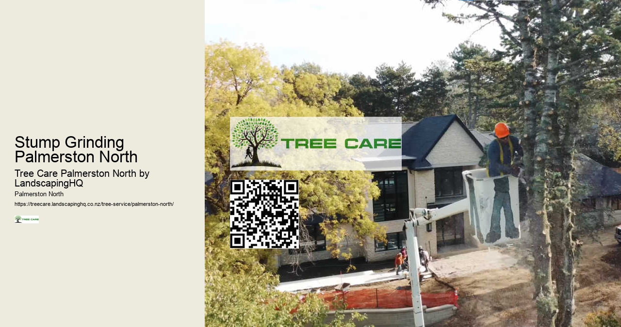 24/7 Emergency Tree Services Palmerston North
