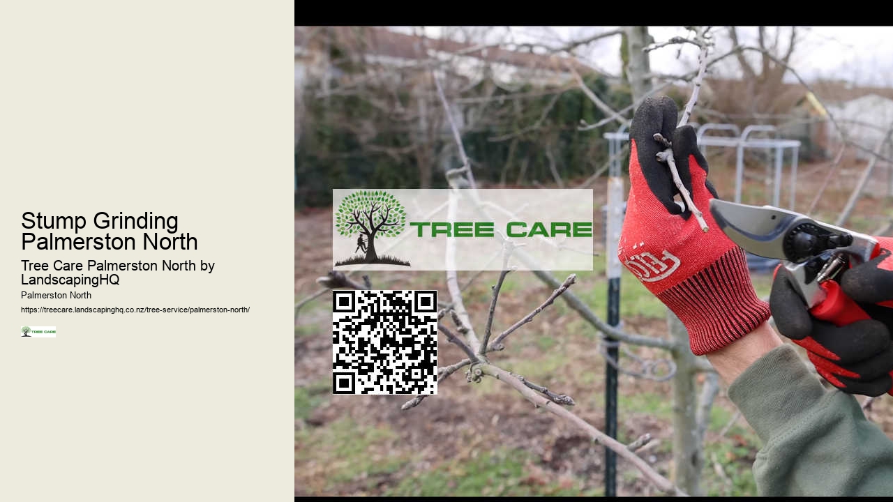 Professional Stump Removal Palmerston North