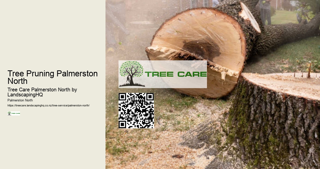 Local Tree Services Palmerston North