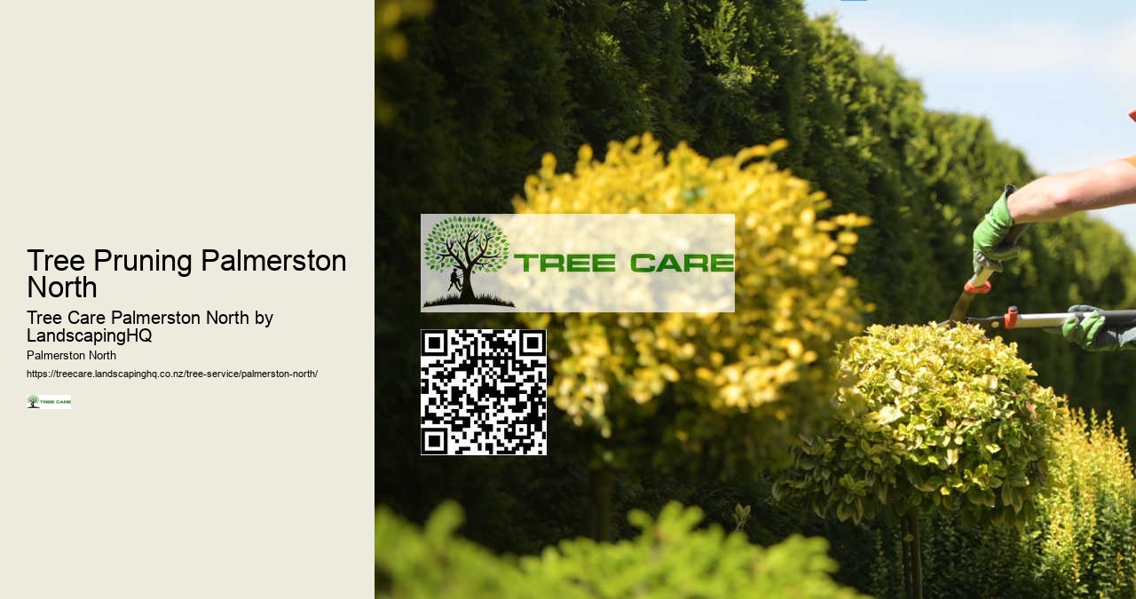 Commercial Arborist Palmerston North