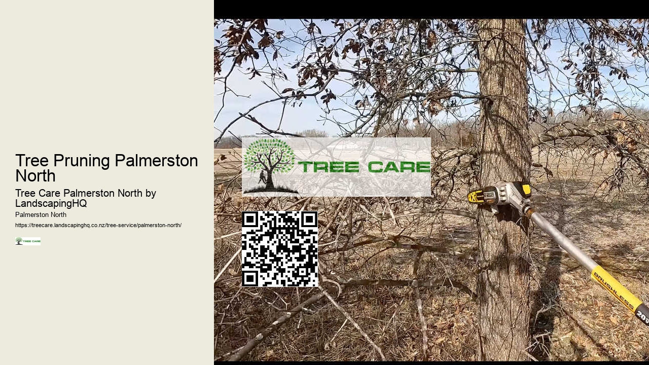 Expert Arborist Advice Palmerston North