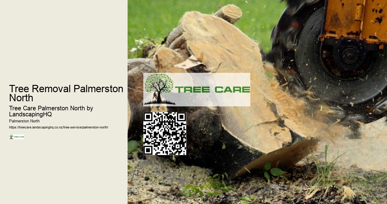 Tree Care Services Palmerston North