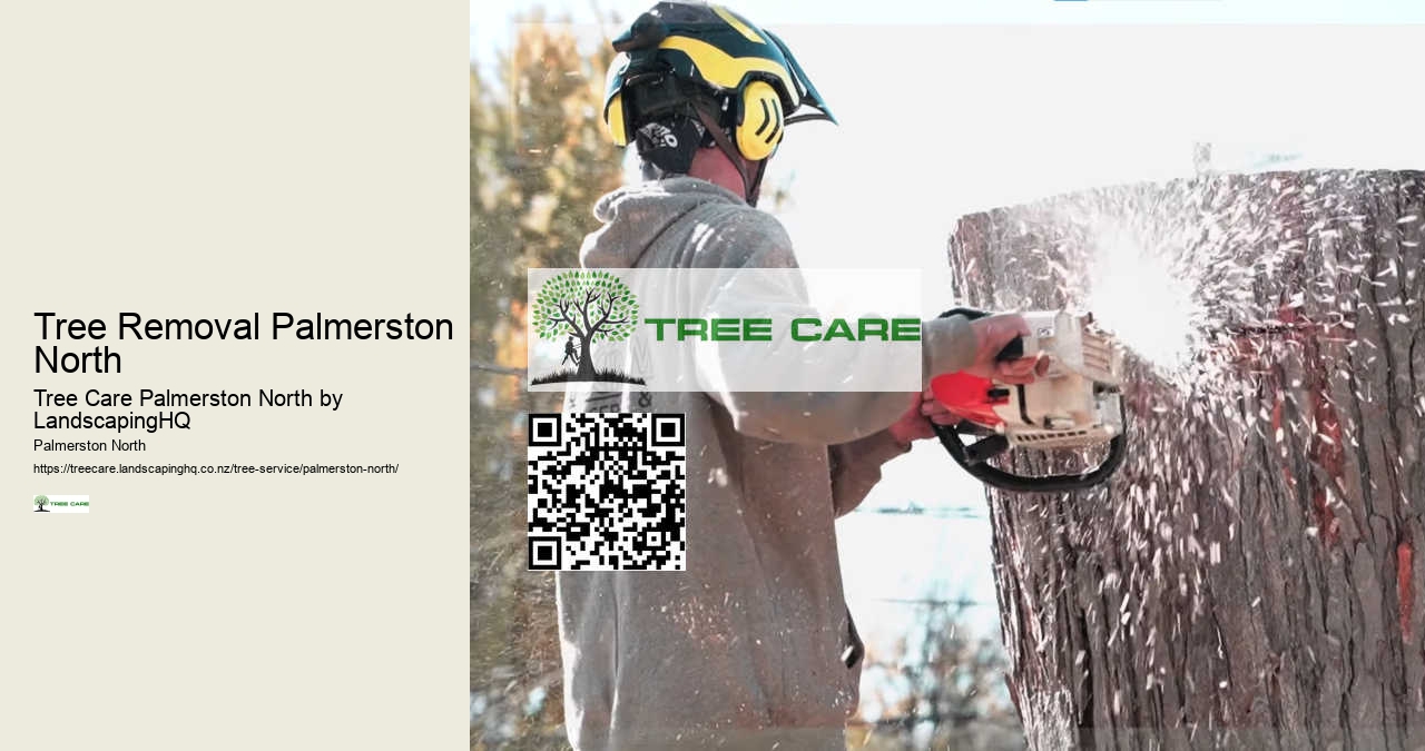 Reliable Tree Care Company Palmerston North