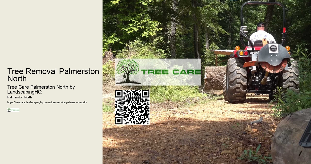Palmerston North Tree Solutions