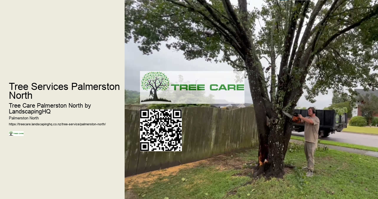 Storm Damage Tree Services Palmerston North