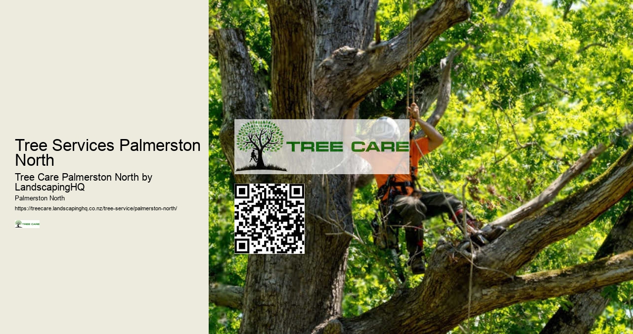Safe Tree Removal Palmerston North