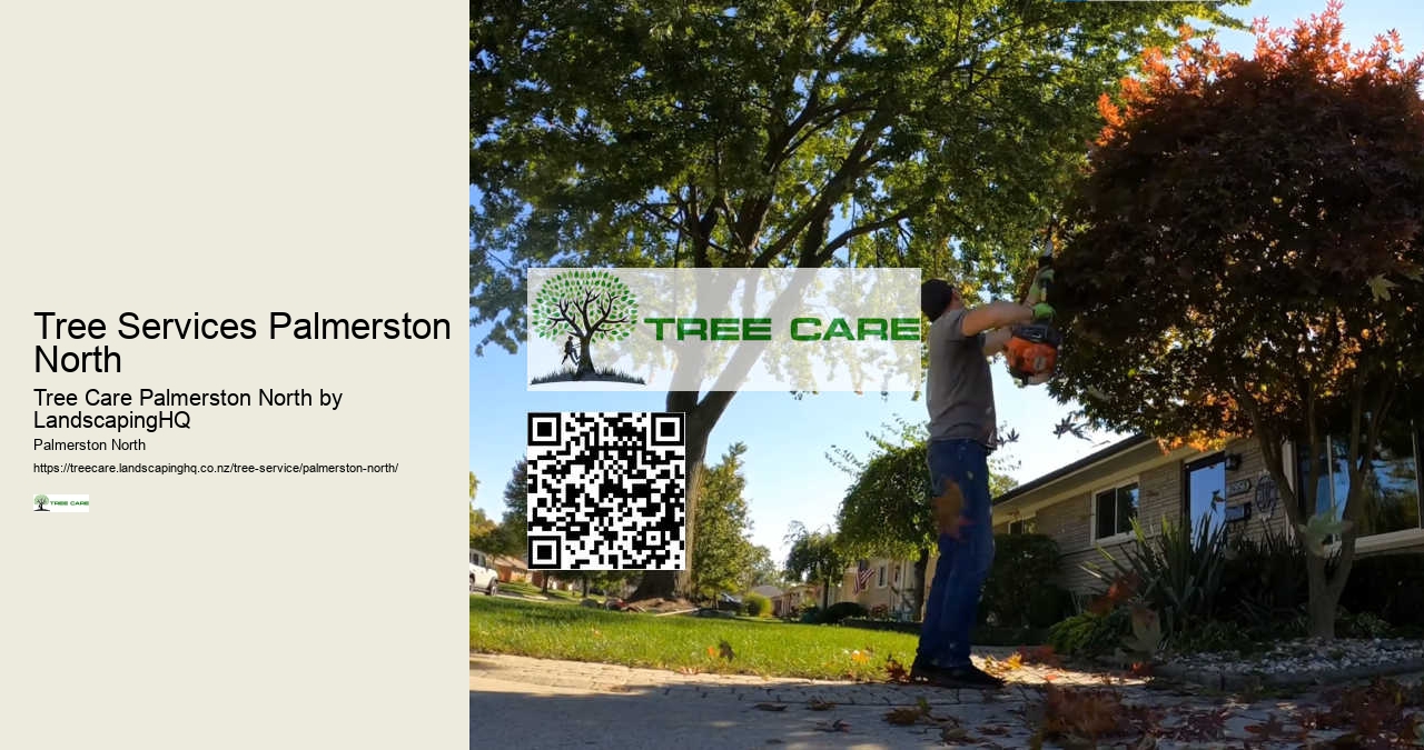 Quick Emergency Tree Services Palmerston North