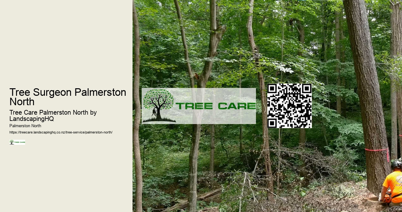 Tree Surgeon Palmerston North