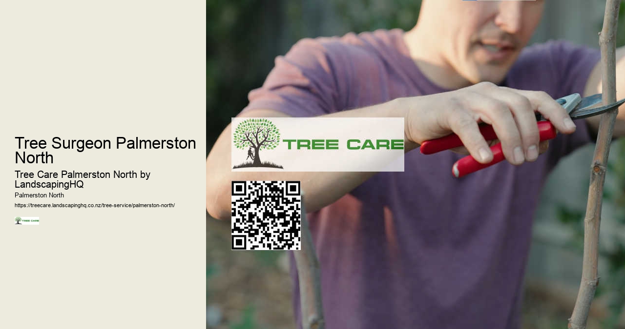 Land Clearing Experts Palmerston North