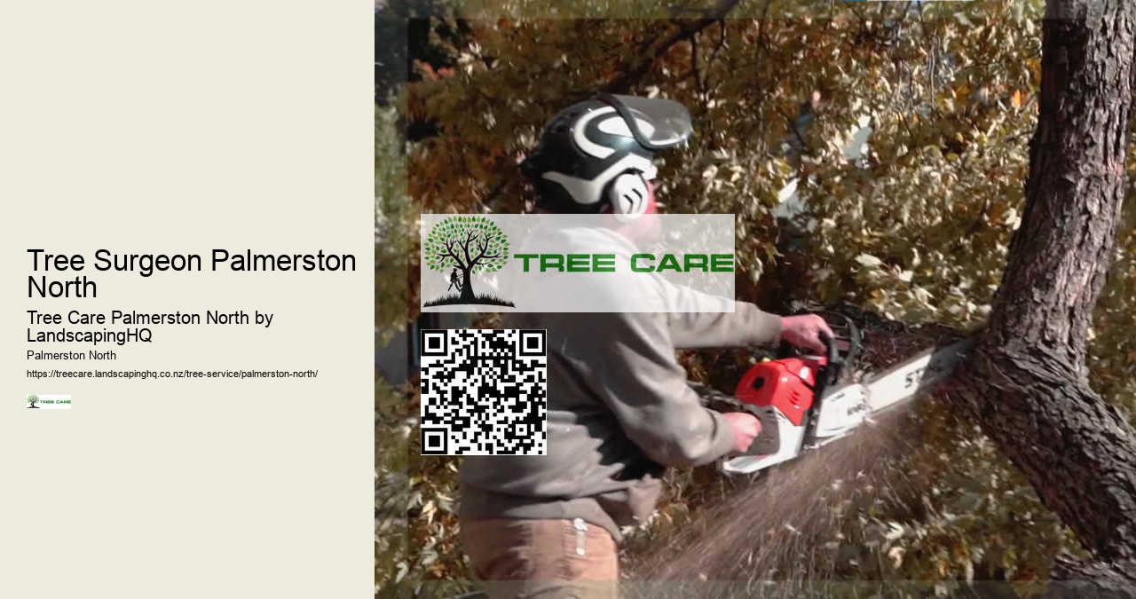 Hedge Maintenance Palmerston North