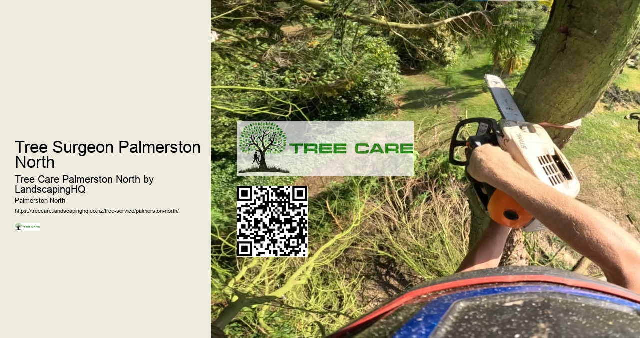 Tree Shaping and Pruning Palmerston North