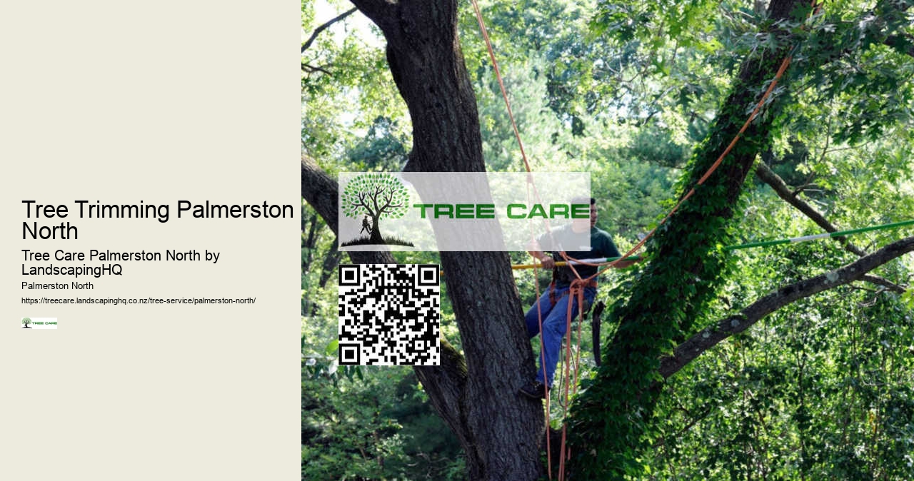 Tree Branch Pruning Palmerston North