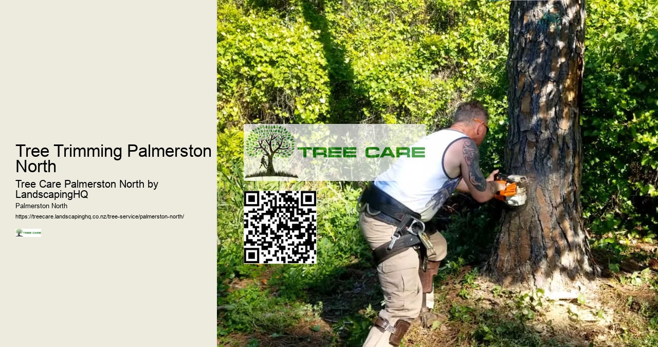 Local Stump Grinding Experts Palmerston North