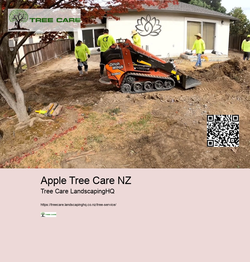 Tree Trimming Auckland