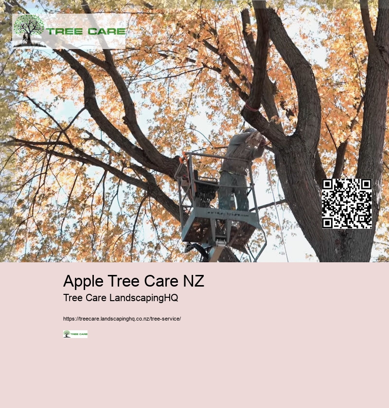 Arborist Hamilton New Zealand