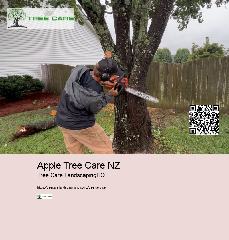 24 Hour Arborist