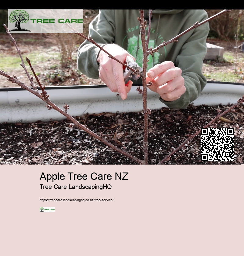 Arborist Queenstown NZ