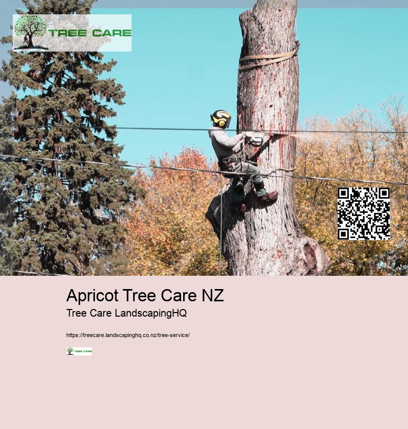 Arborist Whangarei