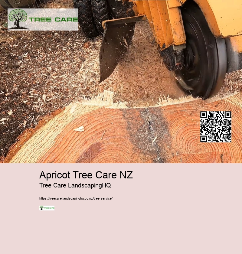 Arborist New Plymouth