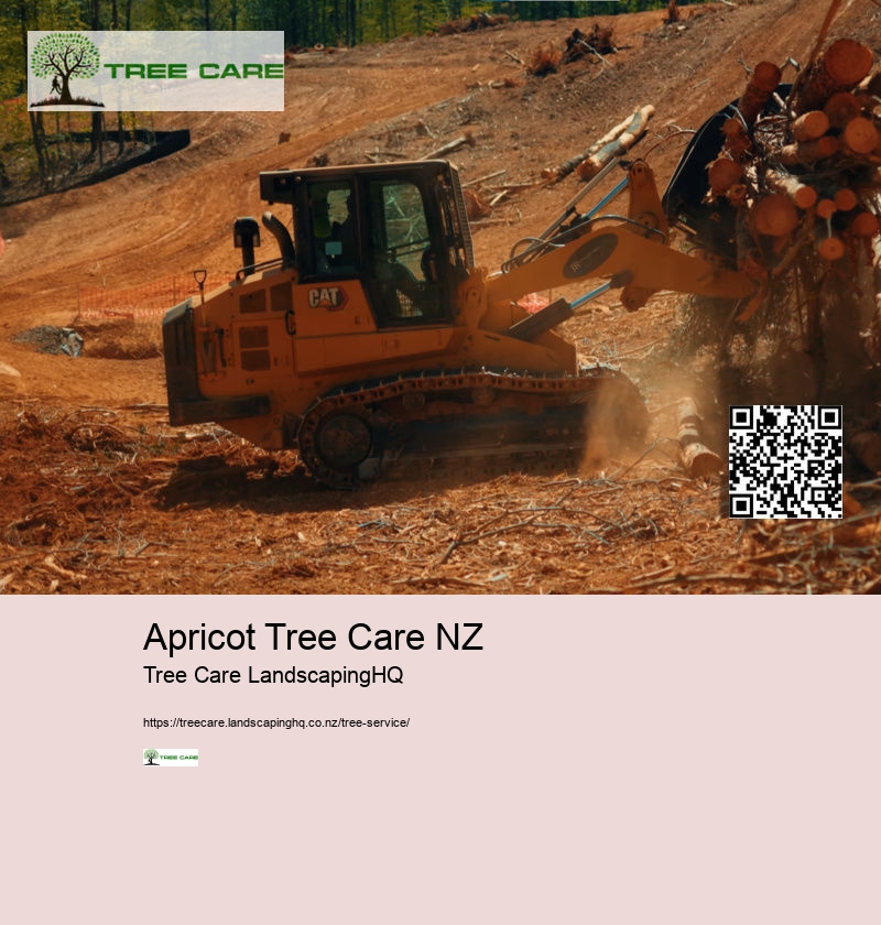 Tree Trimming And Pruning NZ