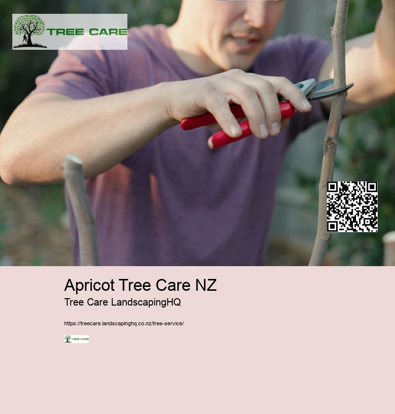 Apricot Tree Care NZ