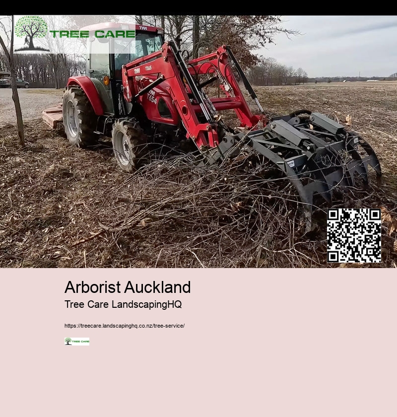 Arborist Auckland