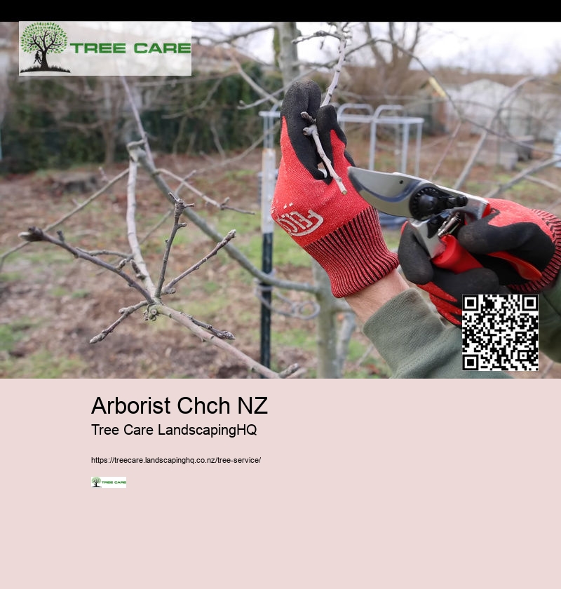 Land Clearing NZ