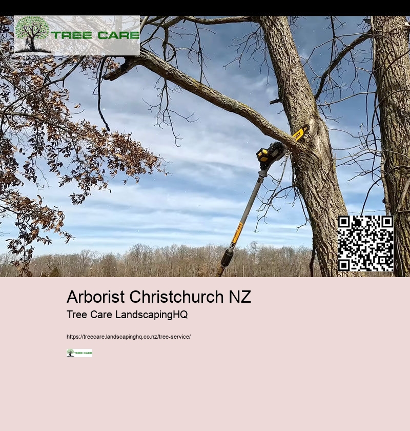 Arborist Christchurch NZ