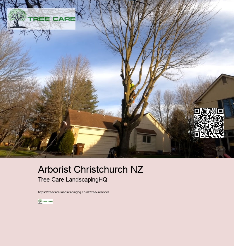 Tree Service Auckland