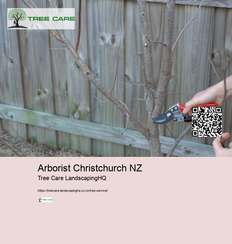 Arborist For Tree Removal