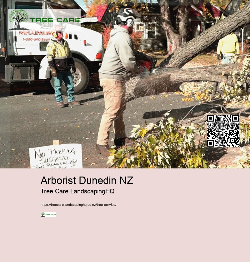 Stump Grinding Palmerston North