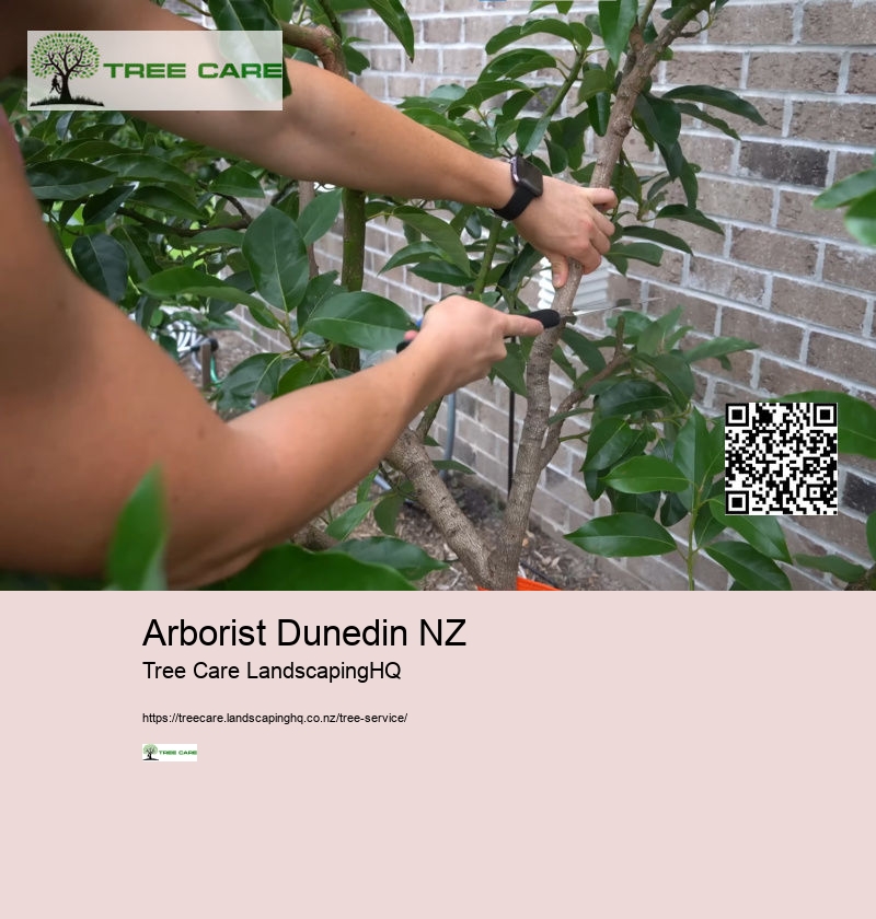 Arborists Nelson